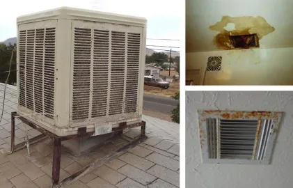 mosquitos-in-your-house-they-could-be-coming-from-the-evaporative-cooler