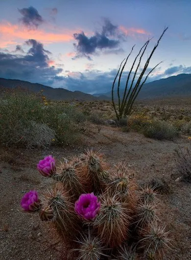high-heat-and-humidity-an-unbearable-combination-for-el-paso-homeowners-who-have-evaporative-cooling-1