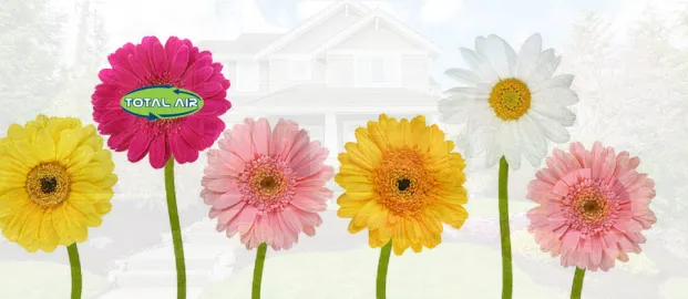 march-into-springtime