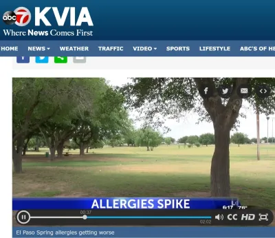 pollen-levels-increasing-in-our-area