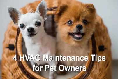 do-you-own-a-pet-here-s-4-hvac-maintenance-tips-to-help-you-live-most-comfortably-with-them
