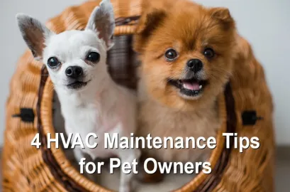 do-you-have-pets-here-s-4-hvac-maintenance-tips-to-help-you-live-most-comfortably-with-them